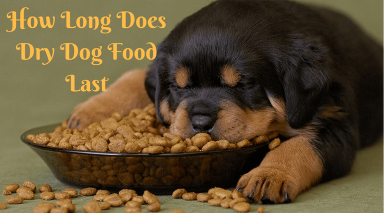 How Long Does Dry Dog Food Last When You Store It Out in the Heat?