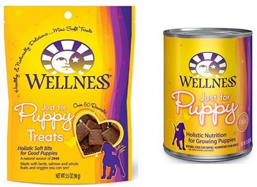 Fromm Wet Dog Food Review